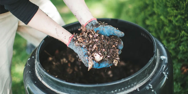 29. Mai - Erfahren Sie mehr über den Tag der Kompostierung
