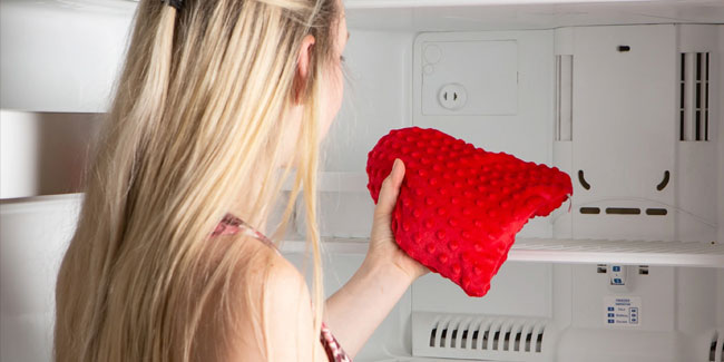 29. Mai: Tag des Kissens auf dem Kühlschrank