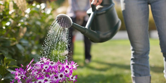 30. Mai: Gießen Sie eine Blume Tag