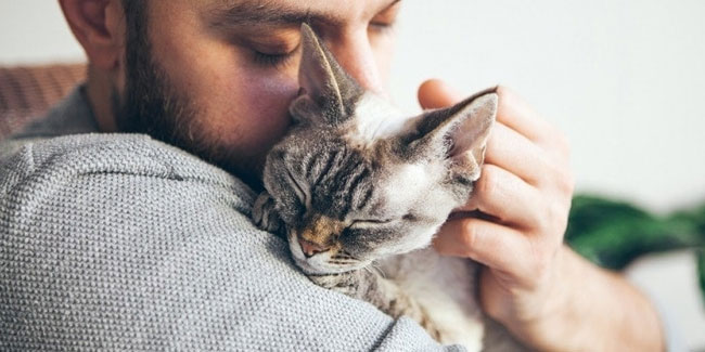 4. Juni: Tag der Umarmung für Katzen in den USA