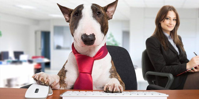 21. Juni - Nehmen Sie Ihren Hund mit zur Arbeit