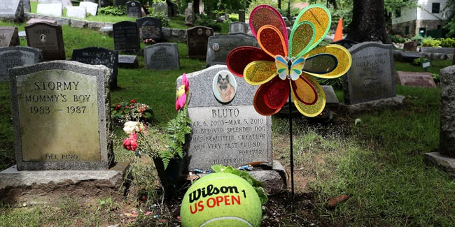 13. September: Nationaler Gedenktag für Haustiere in den USA