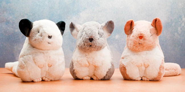 28. Oktober - Tag des Plüschtierliebhabers