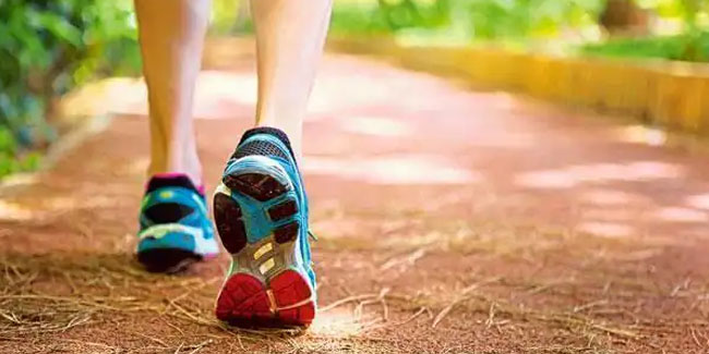 30. März: Der Tag des Spaziergangs im Park