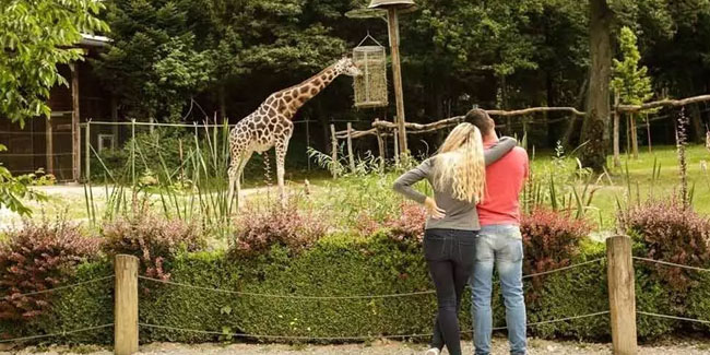 8. April: Tag der Zoofreunde