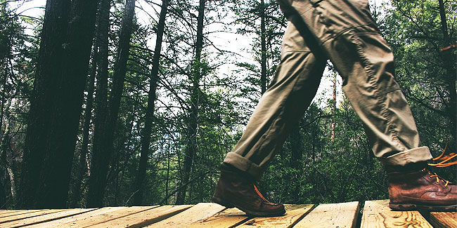 27. Juli: Tag der Hose: Nehmen Sie Ihre Hose mit für einen Spaziergang