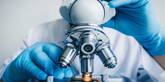 6. November: Nationaler Tag der Wertschätzung für Medical Science Liaisons