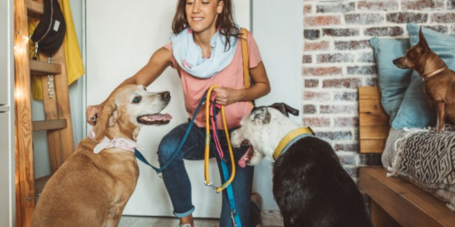 2. März: Woche der professionellen Tiersitter