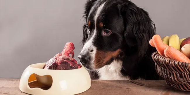 Nationale Woche der Rohfütterung in den USA