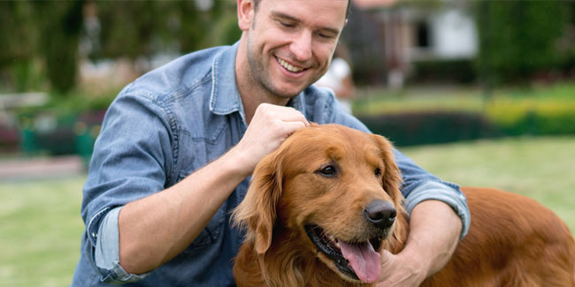 19. April: Tag der Tierhalter