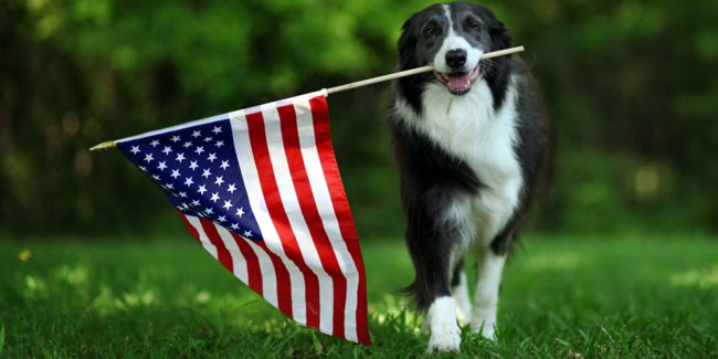 23. September - Tag des Hundes in der Politik