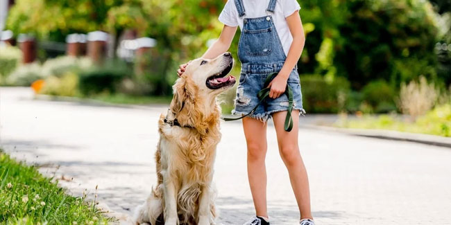 20. September: Nationale Hundewoche in den USA