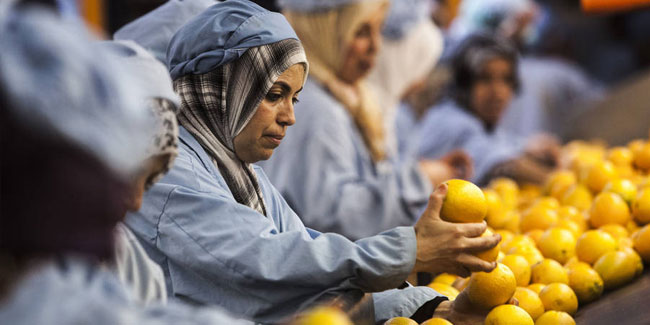 17. April: Tag der Ernährungs- und Landwirtschaftsorganisation im Irak