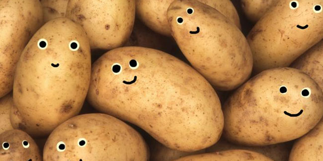 19. August - Kartoffeltag