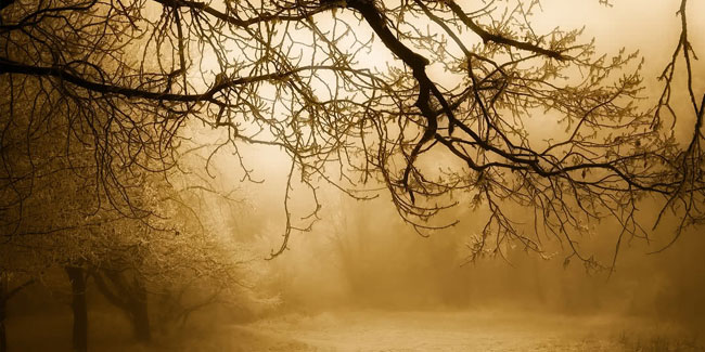 2. Januar - Waldmännchentag oder Waldfest in Deutschland
