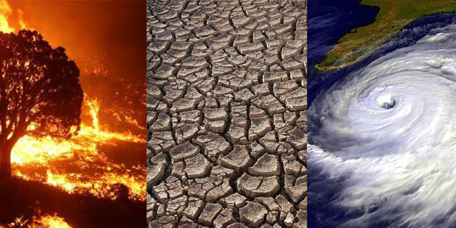 8. Dezember: Weltklimatag