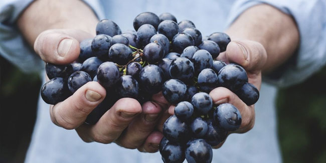 31. Dezember: Doce Uvas