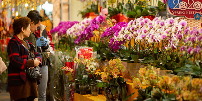 15. März - China Blumenfest