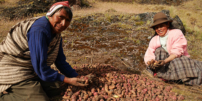30. Mai - Nationaler Kartoffeltag in Peru