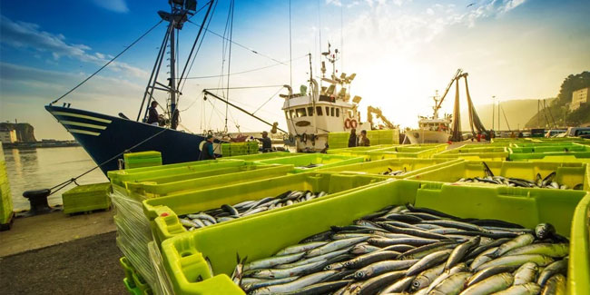 5. Juni - Internationaler Tag zur Bekämpfung der illegalen, ungemeldeten und unregulierten Fischerei