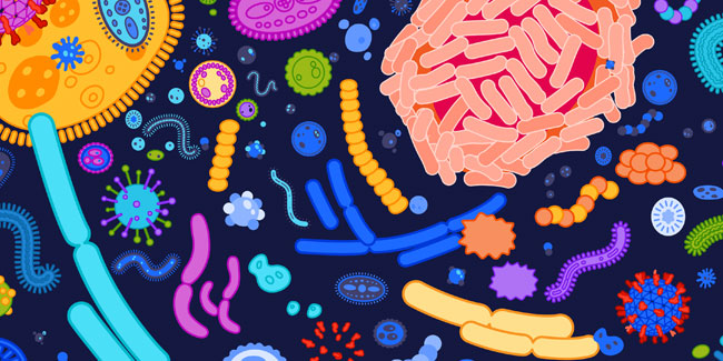 27. Juni: Welt-Mikrobiom-Tag