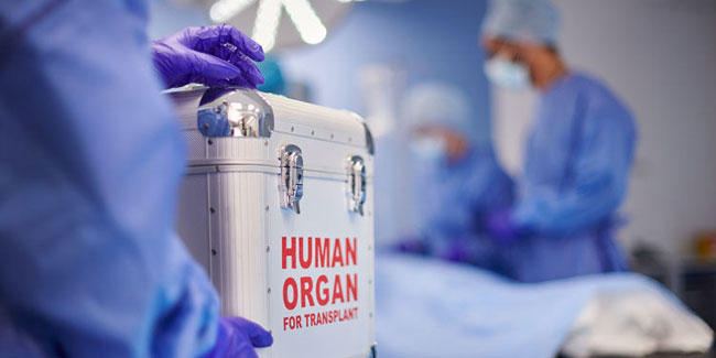 12. Oktober - Europäischer Tag der Organspende und -transplantation