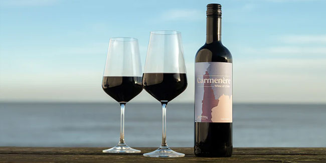 24. November: Internationaler Carmenère-Tag