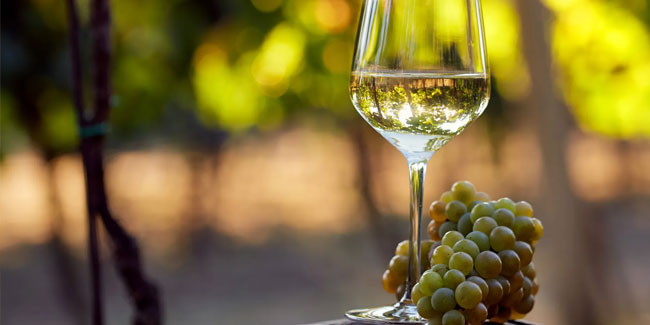 4. August: Nationaler Tag des Weißweins in den USA