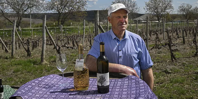 Nationaler Weintag in Moldawien - Tag des Winzers und der Winzer in der Ukraine