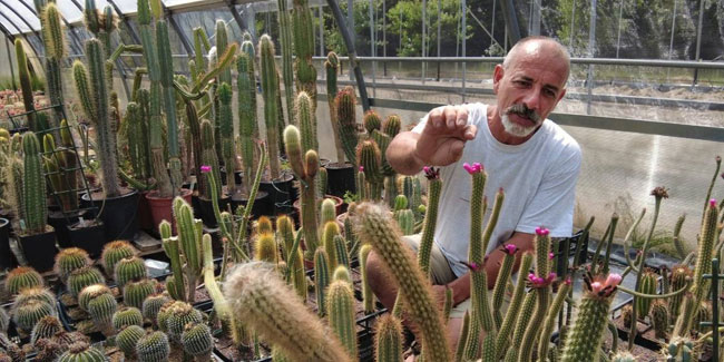 23. April: Tag des Kaktuszüchters in Russland