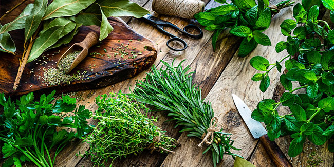 29. August: Der Tag mit mehr Kräutern und weniger Salz