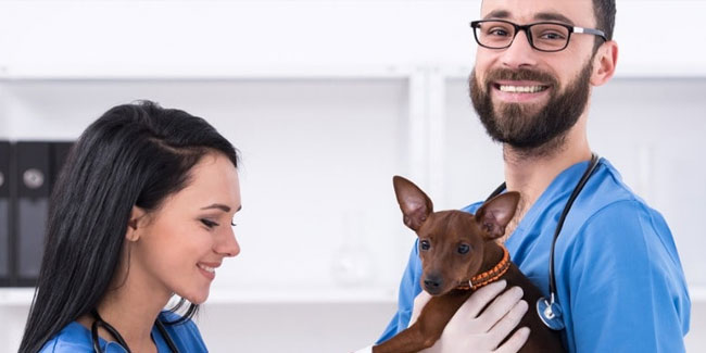 18. Oktober: Nationale Woche der Veterinärtechniker in den USA