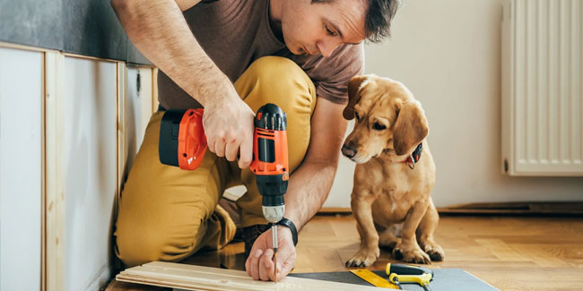 21. Juli: Nationaler Handwerkstag für Tierheime in den USA