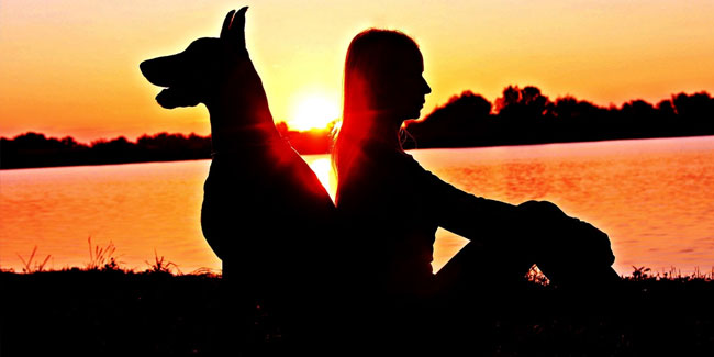 5. Juli - Nationaler Gedenktag für Haustiere im Vereinigten Königreich