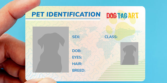 1. Juli: Nationaler Tag Ihres Haustierausweises in den USA