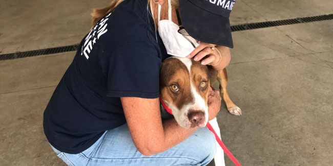 3. Mai: American Humane Be Kind to Animals Week