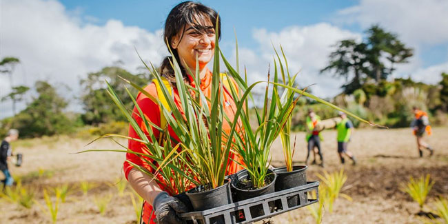 21. Juni: Nationale Woche der Freiwilligenarbeit in Neuseeland