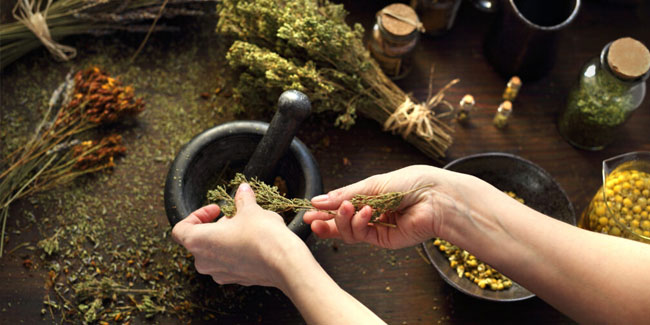 17. April: Tag des Kräuterkundigen