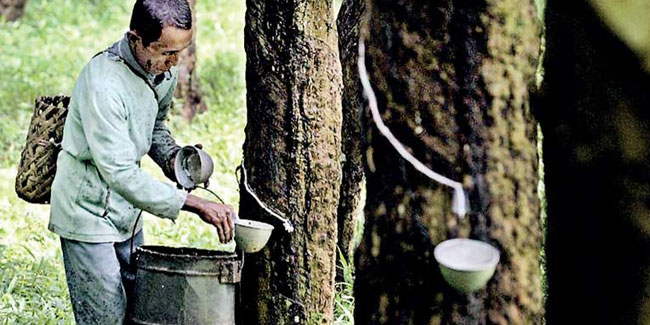 10. April: Nationaler Kautschuktag in Thailand