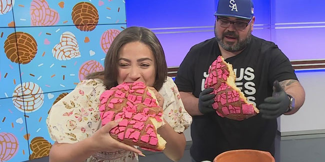 8. Dezember: Nationaler Concha-Tag in den USA