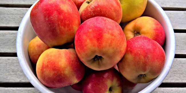 11. Januar: Tag des Deutschen Apfels