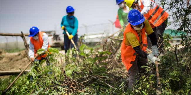 30. Juni: Tag des Landwirtschaftsingenieurs in Peru