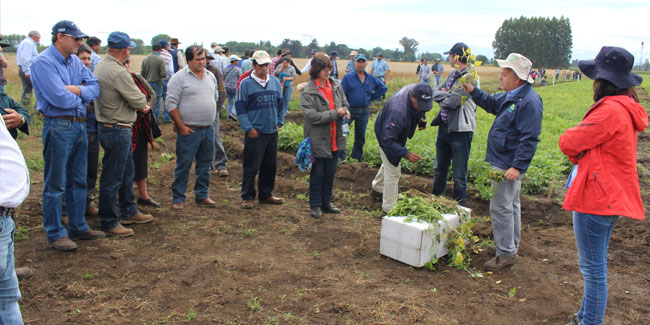 28. August - Tag des Agronomen in Chile