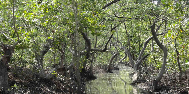 29. Juni: Nationaler Tag der Biosphärenreservate und biologischen Korridore in El Salvador