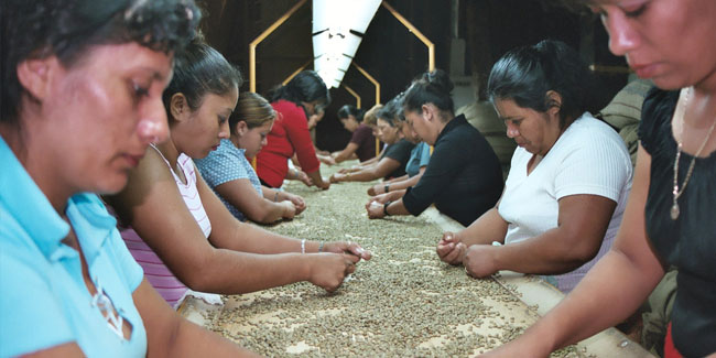 1. Oktober - Tag des Kaffees in El Salvador