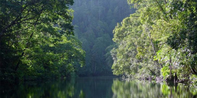 25. Februar - Tag in der Provinz Choiseul auf den Salomonen