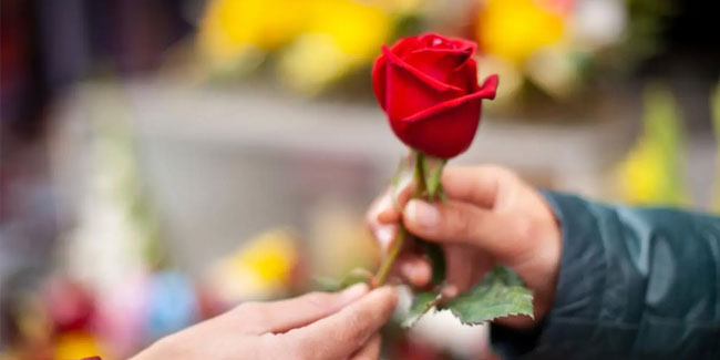 22. September: Weltrosentag