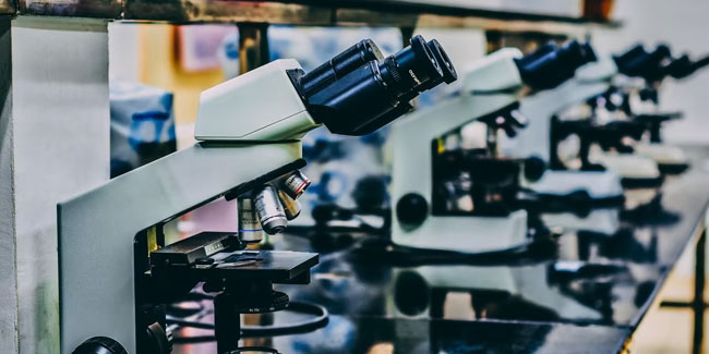 15. Juni: Tag des Biochemikers in Argentinien