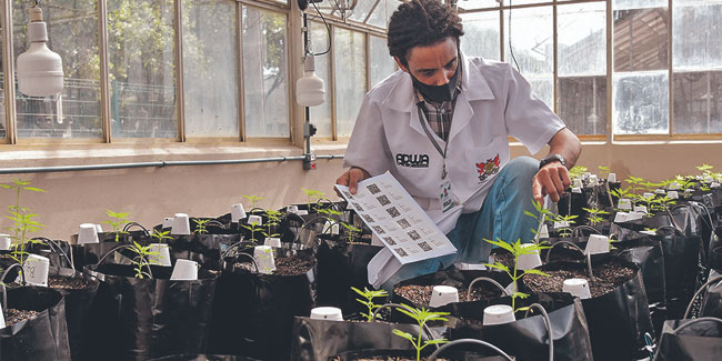 12. Oktober: Tag des Agraringenieurs in Brasilien