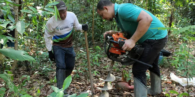 12. Juli: Tag des Forstingenieurs in Brasilien